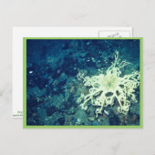 Carte Postale Poisson de panier (Devant / Derrière)