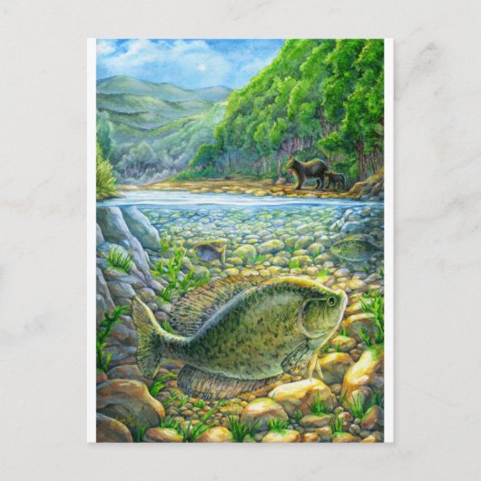 Carte Postale Poisson de rivière de montagne (Devant)