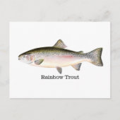 Carte Postale Poisson de truite arc-en-ciel (Devant)