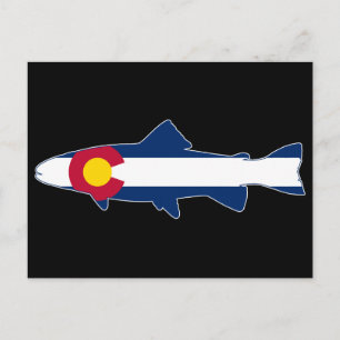 Carte Postale Poisson de truite du Colorado