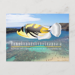 Carte Postale Poisson d'État d'Hawaï - Humuhumunukunukuapua'a
