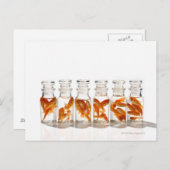 Carte Postale Poisson d'or (Devant / Derrière)