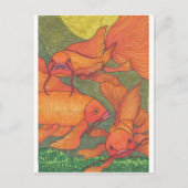 Carte Postale Poisson d'or - Koi (Devant)