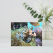 Carte Postale Poisson exotique (Debout devant)