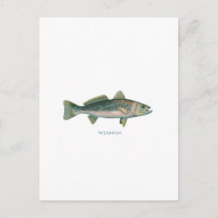 Carte Postale Poisson faible