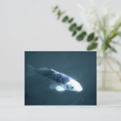 Carte Postale Poisson "fantôme" (Debout devant)