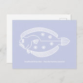 Carte Postale Poisson flet amusant en blanc sur fond violet clai (Devant / Derrière)