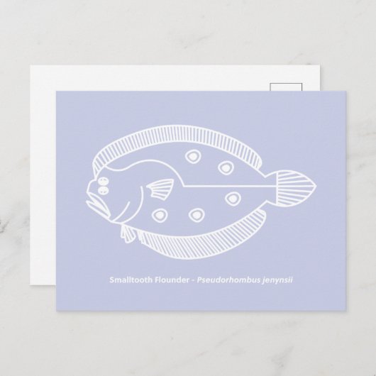 Carte Postale Poisson flet amusant en blanc sur fond violet clai (Devant / Derrière)