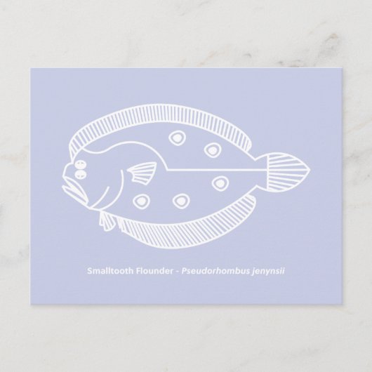 Carte Postale Poisson flet amusant en blanc sur fond violet clai (Devant)