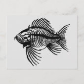 Carte postale Poisson Fossile (Devant)