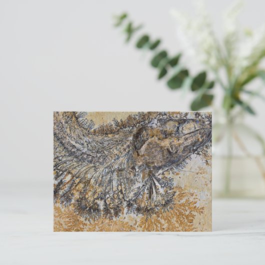 Carte Postale Poisson fossile (Debout devant)