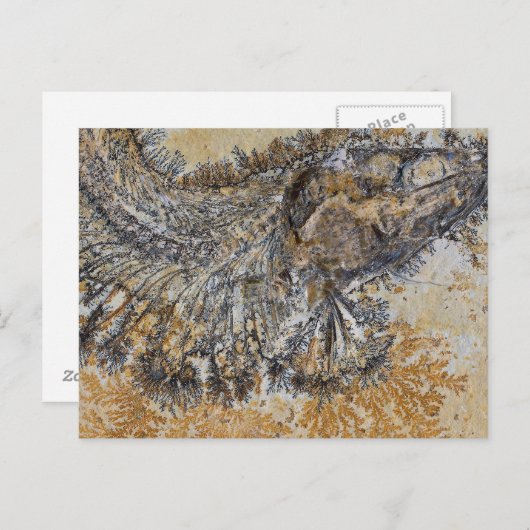 Carte Postale Poisson fossile (Devant / Derrière)