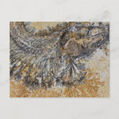 Carte Postale Poisson fossile (Devant)