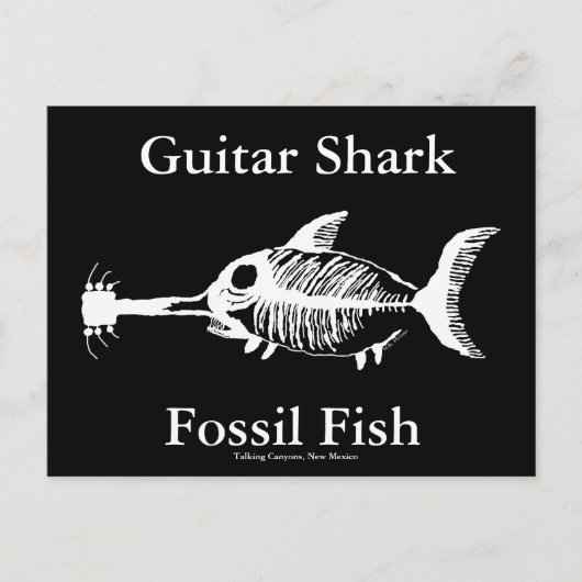 Carte Postale Poisson fossile de requin guitare (Devant)