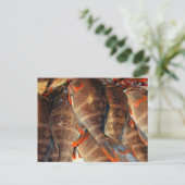 Carte Postale Poisson frais (Debout devant)