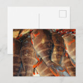 Carte Postale Poisson frais (Devant / Derrière)