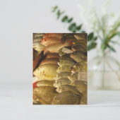 Carte Postale Poisson frais (Debout devant)