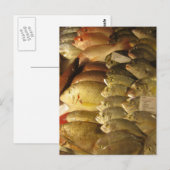 Carte Postale Poisson frais (Devant / Derrière)
