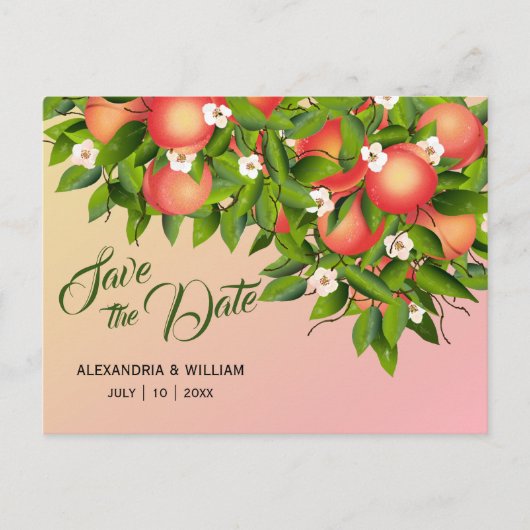 Carte Postale Poisson Fruit Botanique | Mariage Enregistrer La D (Devant)