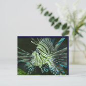 Carte Postale Poisson grincheux (Debout devant)