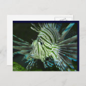 Carte Postale Poisson grincheux (Devant / Derrière)