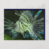 Carte Postale Poisson grincheux (Devant)