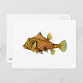 Carte Postale Poisson jaune (Devant / Derrière)