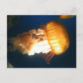 Carte Postale Poisson jaune (Devant)