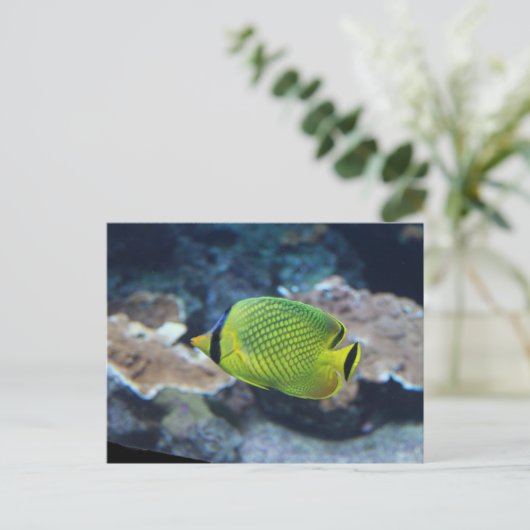 Carte Postale Poisson jaune néon (Debout devant)