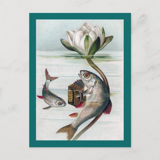 Carte Postale Poisson Jouer Accordion et Lys d'eau (Devant)
