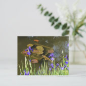 Carte postale Poisson Koi #4 (Debout devant)