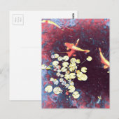 Carte Postale Poisson koi coloré étang japonais (Devant / Derrière)