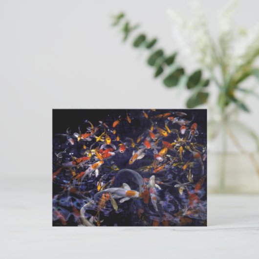 CARTE POSTALE POISSON KOI EN FLEURS (Debout devant)
