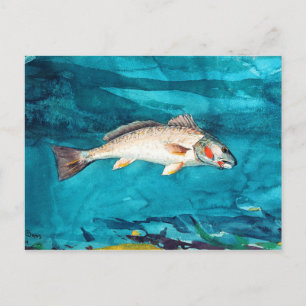 Carte Postale Poisson marin par Winslow Homer