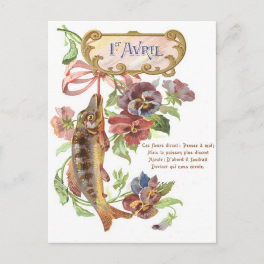 Carte Postale Poisson Matin Gloire (Devant)