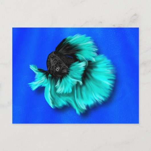 Carte Postale Poisson noir et Turquoise Betta (Devant)