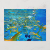 Carte Postale Poisson océanique (Devant)