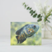 Carte Postale Poisson Oscar (Debout devant)