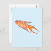 Carte Postale Poisson Paradis, Aquarelle. (Devant / Derrière)