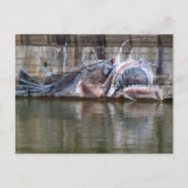 Carte Postale Poisson-pêcheur (Devant)