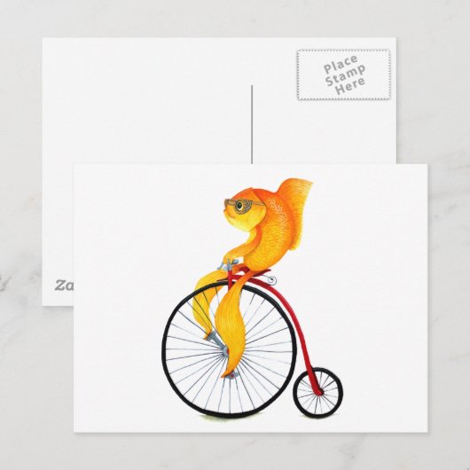 Carte Postale Poisson Penny Farthing (Devant / Derrière)