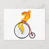 Carte Postale Poisson Penny Farthing (Devant)