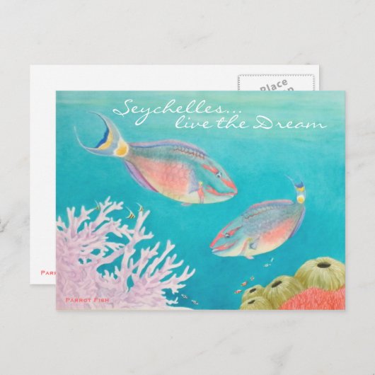Carte Postale Poisson perroquet (Devant / Derrière)