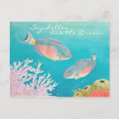 Carte Postale Poisson perroquet (Devant)