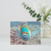 Carte Postale Poisson Perroquet d'Hawaï (Debout devant)