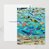 Carte postale Poisson & Plus de Poisson (Devant / Derrière)