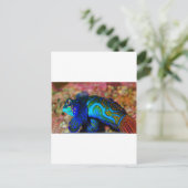 Carte Postale Poisson psychodelique (Debout devant)