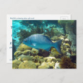 Carte Postale Poisson récif (Devant / Derrière)