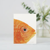 Carte Postale Poisson Red Deacon (Debout devant)