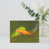 Carte Postale poisson rouge (Debout devant)